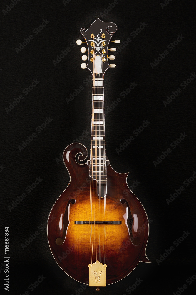 Obraz premium Mandolin on black background