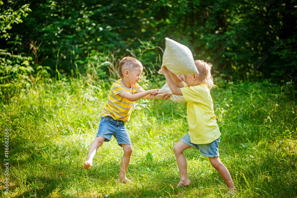 Obraz premium Children fighting together with pillows in a sunny summer garden