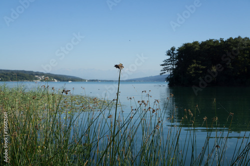 Beautiful scene of a lake © Infinitefoto