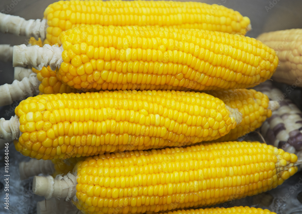 Boiled corn cobs on the market Boiled corn cobs on the market