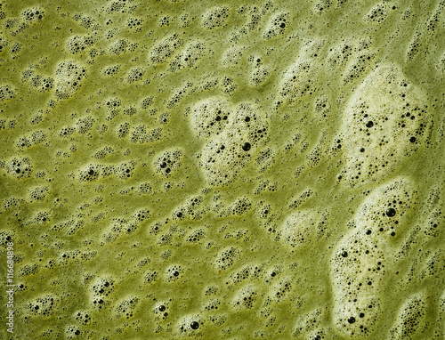 Fotografi Green scum on the surface of dirty water