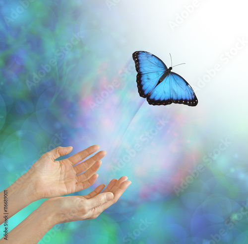 Photography Into the Light - metaphorical representation of releasing or letting a soul go,