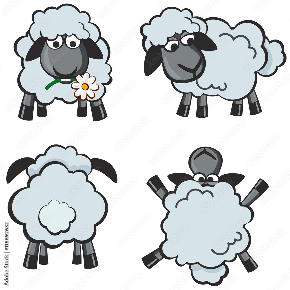 Nice set of cartoon sheeps Nice set of cartoon sheeps