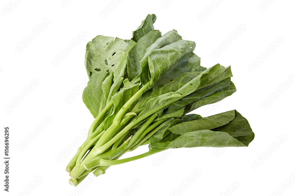 Chinese broccoli Chinese broccoli