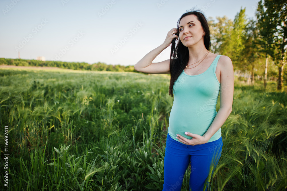 Beautiful brunette pregnant woman at wreath field Beautiful brunette pregnant woman at wreath field