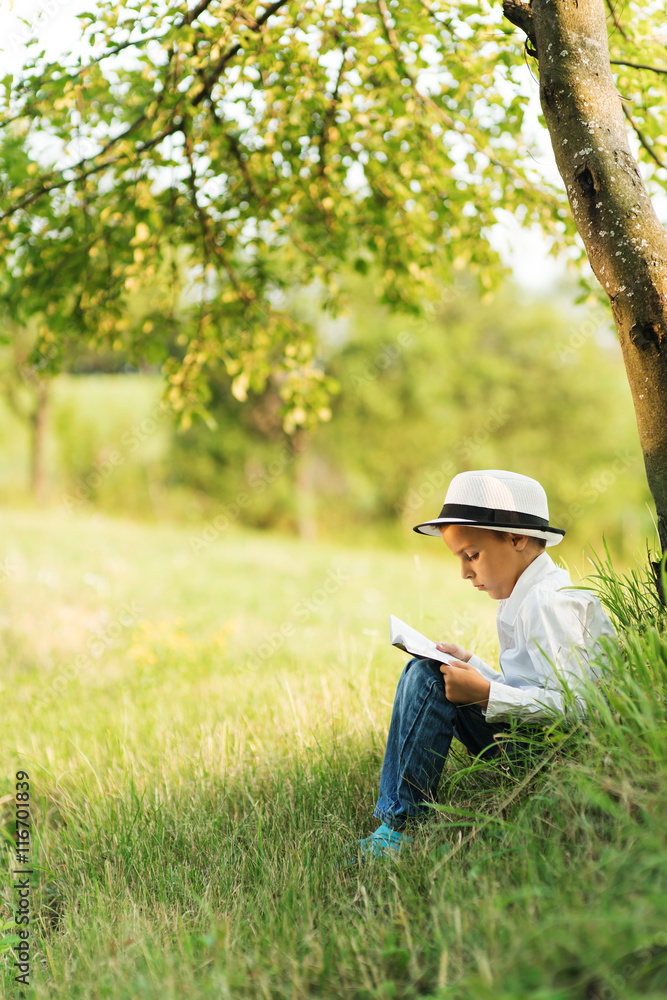 boy reading a book under a tree boy reading a book under a tree