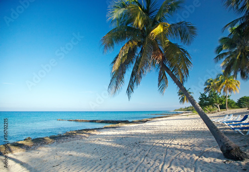 Tropical beach with palms and white sand