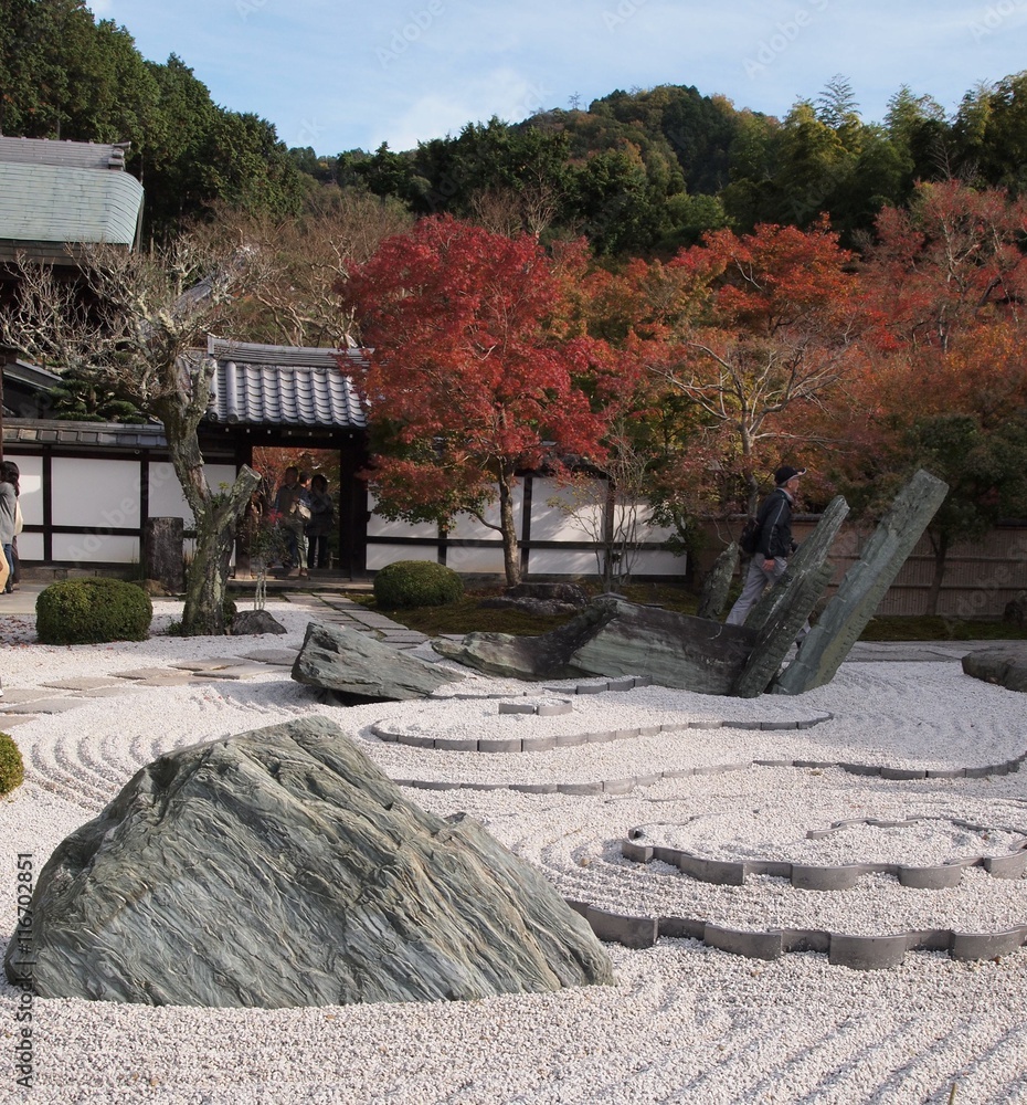 秋の京都　圓光寺庭園　