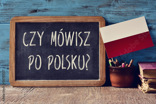 Tableau sur toile question do you speak Polish? written in Polish