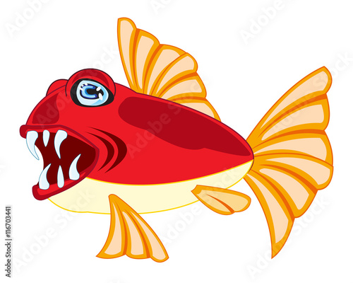 Tropical fish on white