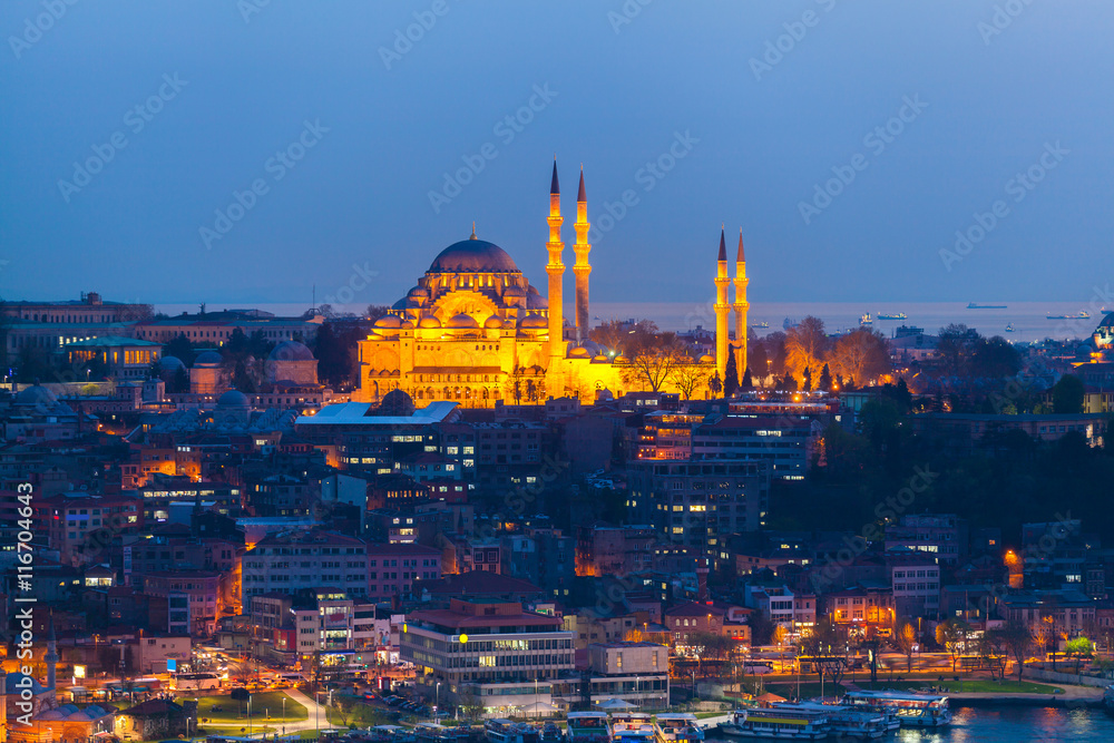 View of Istanbul from the sea at dusk. Mosque in the old town with night illumination of facades on the background of urban development. Travel Turkey.