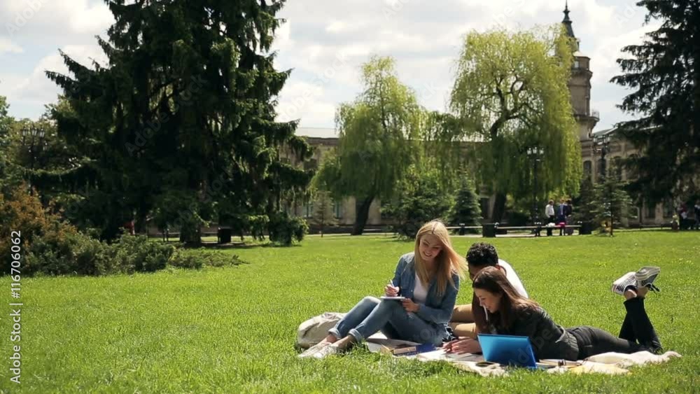 Interracial group of students studying outdoors. Interracial group of students studying outdoors.