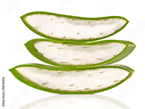 Wallpaper Mural Aloe Vera Torontodigital.ca