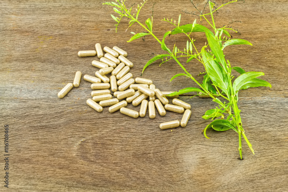 Colorful drug pill and fresh of Andrographis paniculata plant on wooden background Colorful drug pill and fresh of Andrographis paniculata plant on wooden background