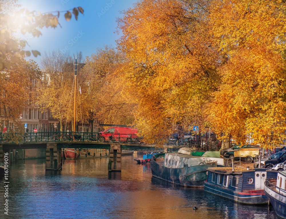 Amsterdam in fall