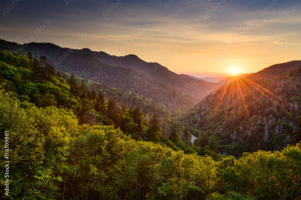 Obraz premium Newfound Gap w Smoky Mountains