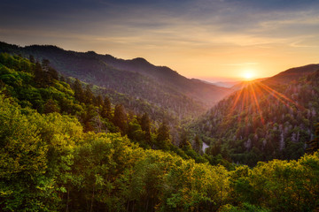 Fotobehang Heuvel Newfound Gap in Smoky Mountains  © SeanPavonePhoto