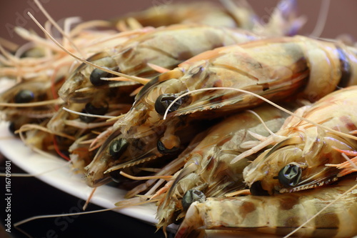 closeup of a tasty dish of fresh prawns from Sanlucar de Barrameda, Andalusia, Spain photo