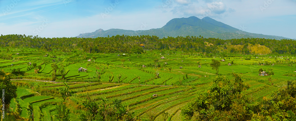 Landscape with rice fields and Agung volcano. Indonesia, Bali