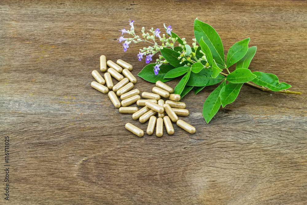 Close up fresh flower Vitex trifolia Linn or Indian Privet with green leaf is herb in Thailand and drug pill on wooden background Close up fresh flower Vitex trifolia Linn or Indian Privet with green leaf is herb in Thailand and drug pill on wooden background