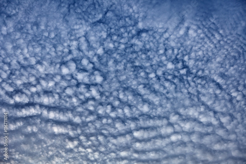 Altocumulus middle-altitude cloud in stratocumuliform - nature b photo