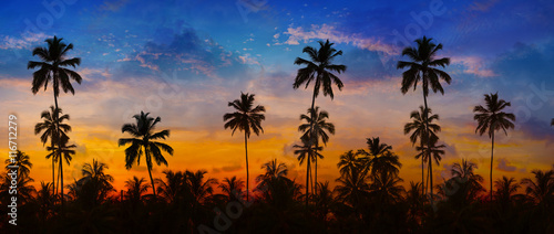 Coconut Palms Silhouetted against a Sunset Sky in Thailand.