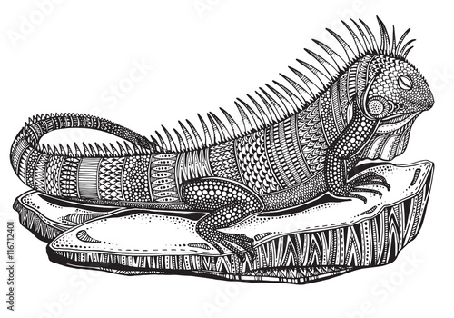 Hand drawn graphic ornate iguana on a stone