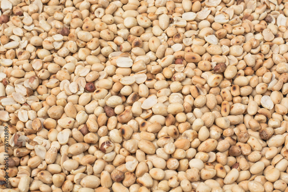 bean on background bean on background