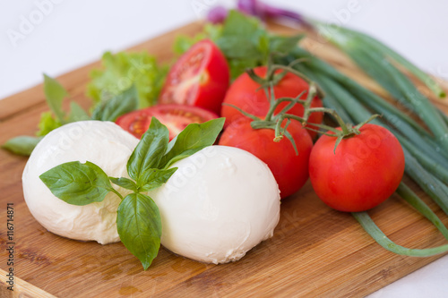 Homemade Organic Mozzarella Cheese with Tomato and Basil and onions.