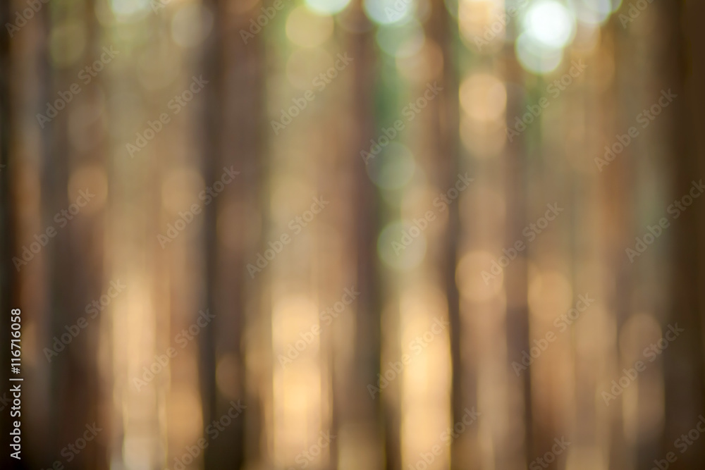 Blurry nature wallpaper. Pine forest bokeh background. Green defocused backdrop for your design.