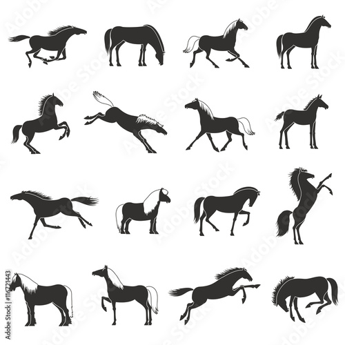 Horse Breeds Silhoettes Black Icons Set 