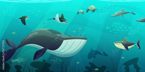 Underwater Marine Ocean Life Abstract Banner