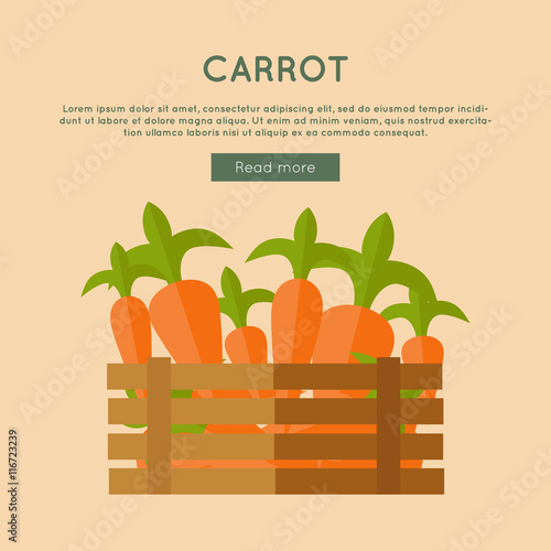 Carrot Vector Web Banner in Flat Style Design. 