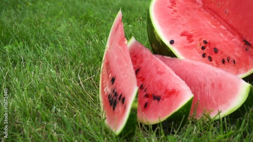 sliced watermelon on grass