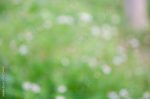 Bokeh background, abstract flowers ìn green © leekhoailang