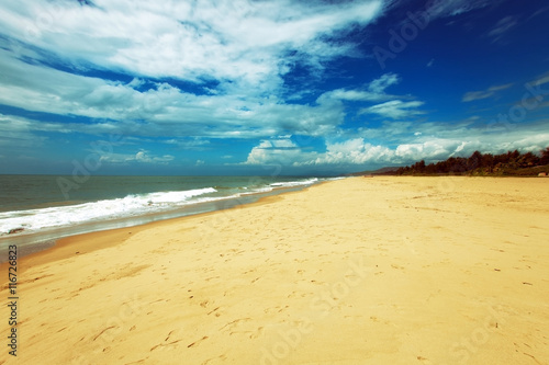 Beautiful Tropical landscape
