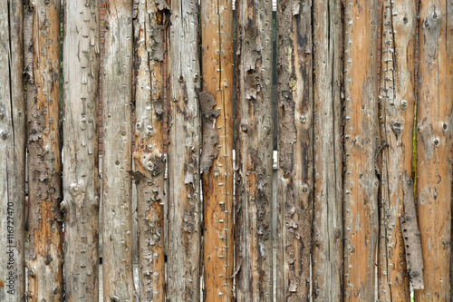 brown background with a row of wooden tree trunk poles with empty copy space