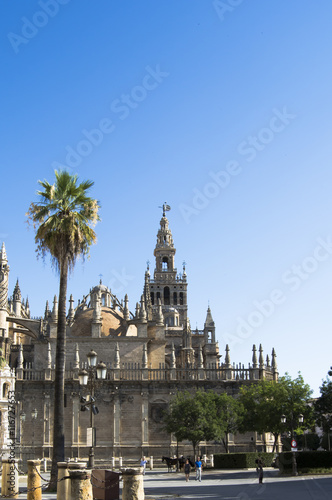 Seville Cathedral with the Giralda Tower in Seville called, Spai © Antonio Sanchez