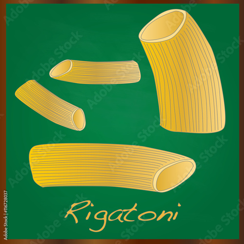 Rigatoni italian pasta