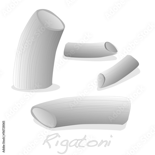 Rigatoni italian pasta