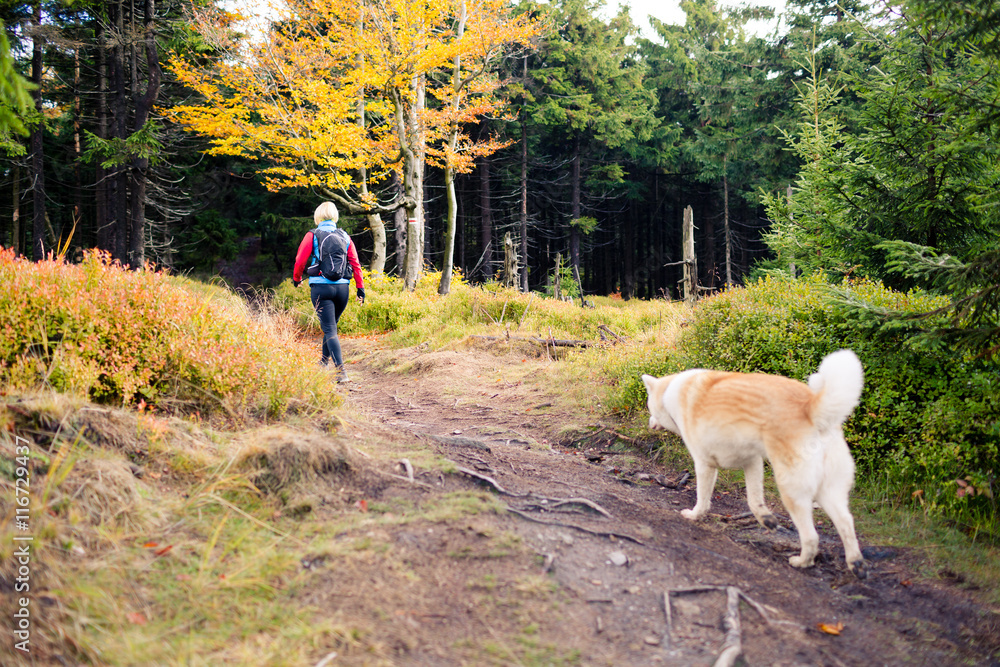 Woman hiking in woods, walking with dog Woman hiking in woods, walking with dog