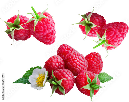 Collage of raspberries on white  background