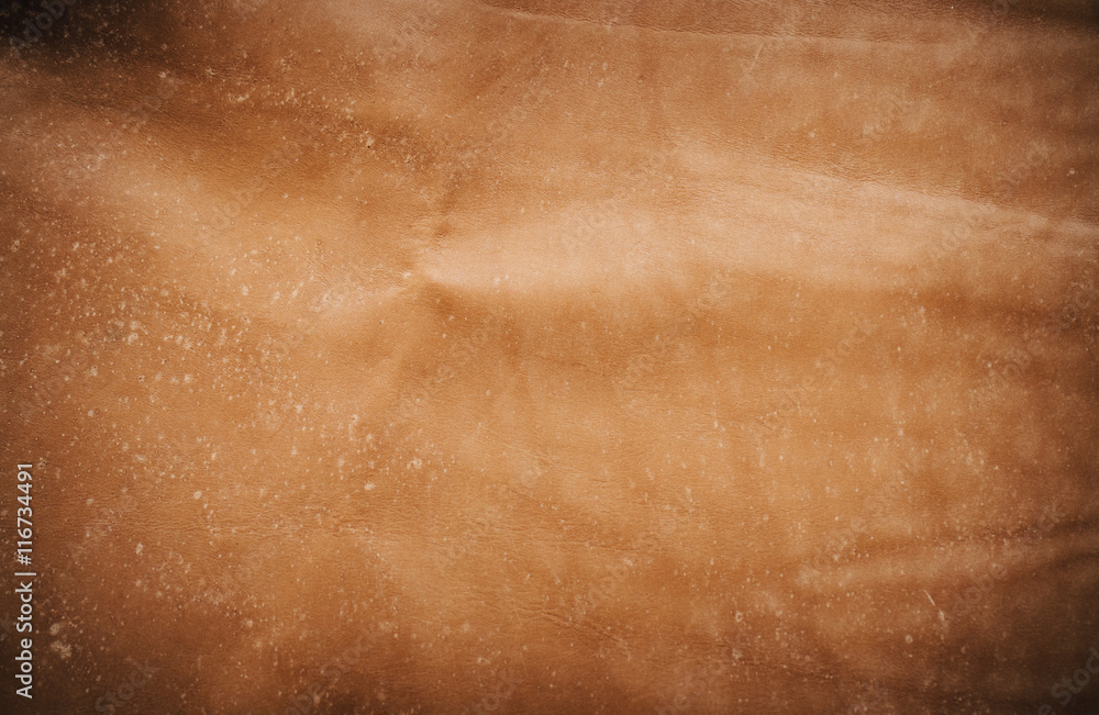 Fototapeta premium skin texture