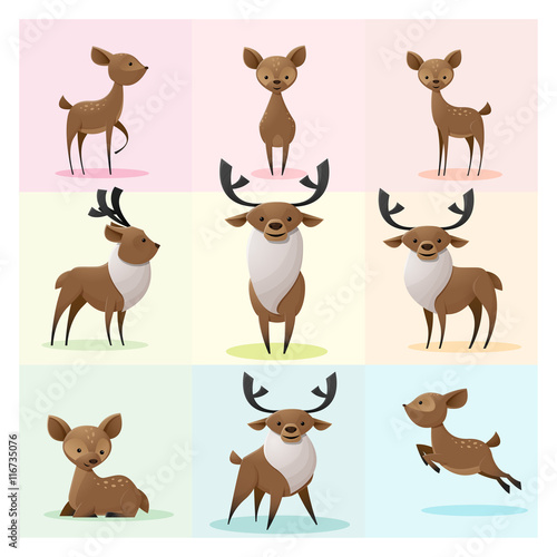 Set of Deer family , vector , illustration