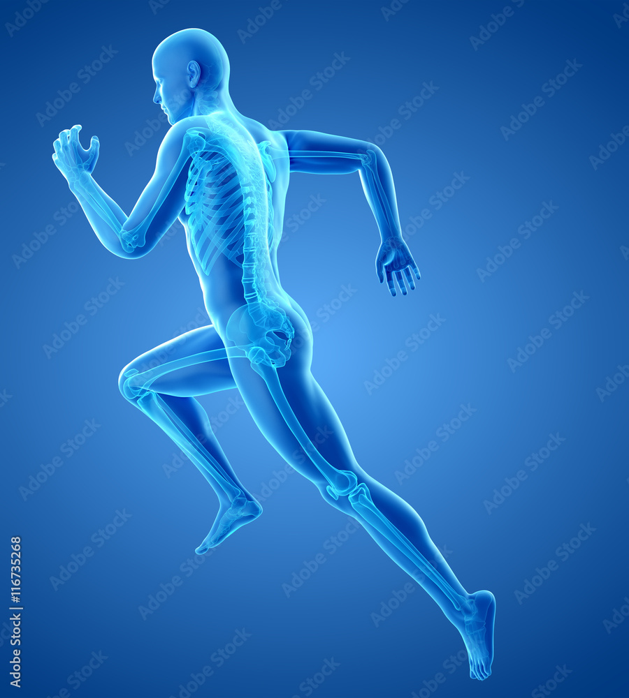 3d rendered medically accurate illustration of a runners skeleton 3d rendered medically accurate illustration of a runners skeleton