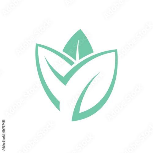Leaf. Mint 