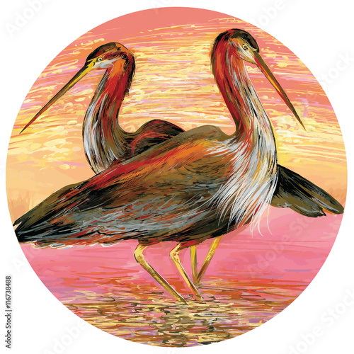 Herons in the water. Composition in a circle.