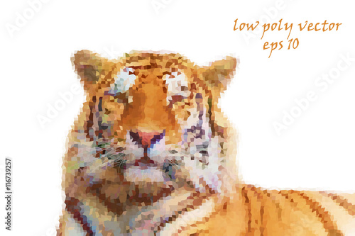 Fototapeta Naklejka Na Ścianę i Meble -  Low poly vector design, illustration. Portrait of a tiger.