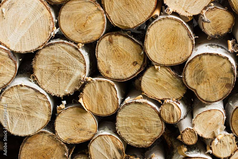 Heap Of Birch Logs. View at saw cut. Close Up. Heap Of Birch Logs. View at saw cut. Close Up.