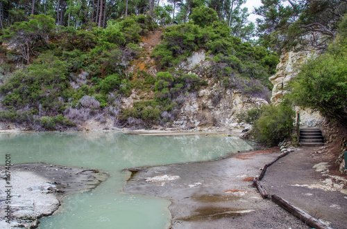 Colourful pond in Wai-O-Tapu Thermal Wonderland which is located in Rotorua  New Zealand.
